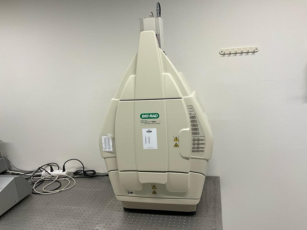 Diapositiva 2